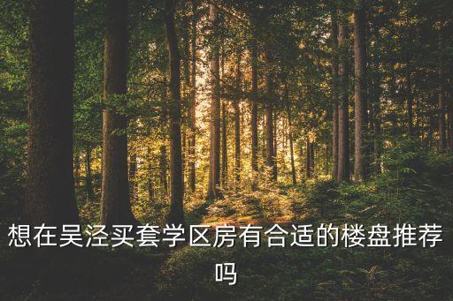 吴忠学区房有哪些，吴忠水岸帝景小区划分到哪个小学呢