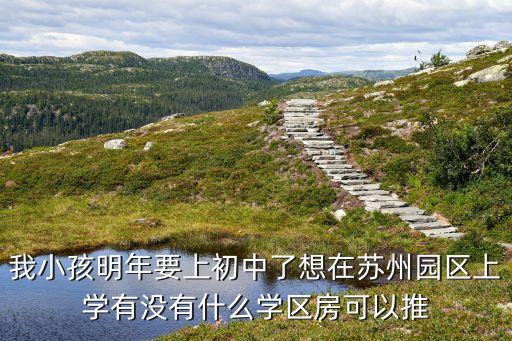 在苏州学区房买哪个比较好，我小孩明年要上初中了想在苏州园区上学有没有什么学区房可以推