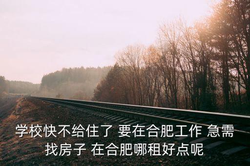 蜀山区哪个学区房好租点，合肥蜀山区哪个小区租房子便宜一点想租尽量靠近闹市区的两个