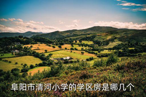 阜阳市清河小学的学区房是哪几个