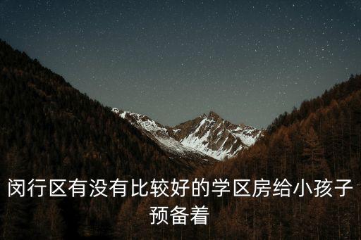 闵行区有没有比较好的学区房给小孩子预备着