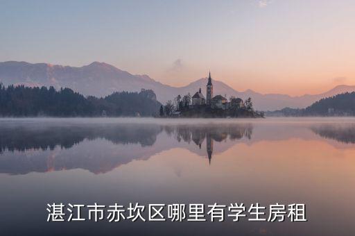 湛江市赤坎区哪里有学生房租