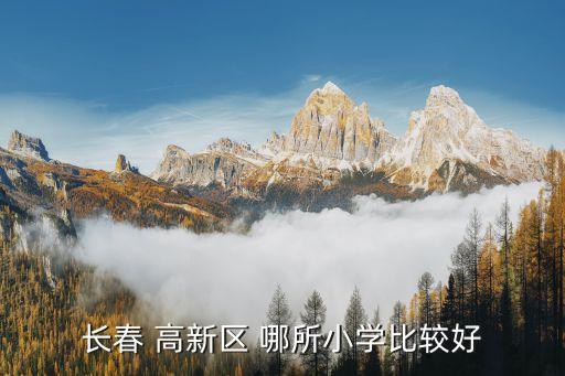 长春 高新区 哪所小学比较好