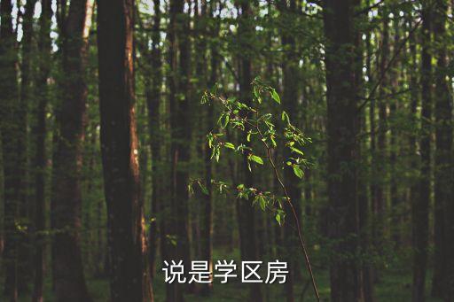 淮安郁金蓝湾哪个学区房，说是学区房