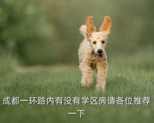 成都一环天樾有哪些学区房，成都一环路内有没有好的学区房孩子过两年就要上小学了急
