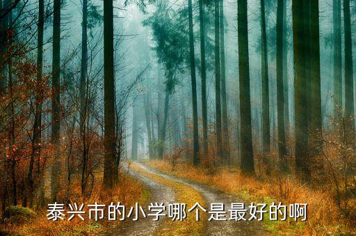 泰兴哪个小学区房好，泰兴市的小学哪个是最好的啊