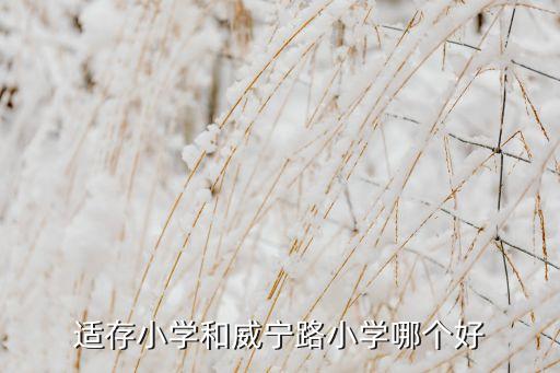 适存小学和威宁路小学哪个好