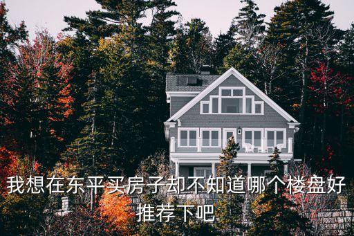 我想在东平买房子却不知道哪个楼盘好推荐下吧