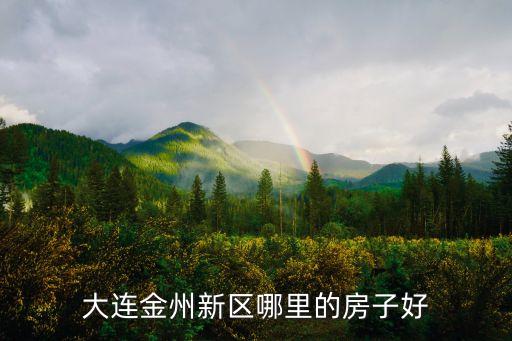 大连金州新区哪里的房子好