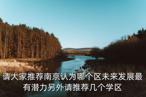 请大家推荐南京认为哪个区未来发展最有潜力另外请推荐几个学区