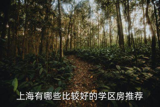 上海有哪些比较好的学区房推荐