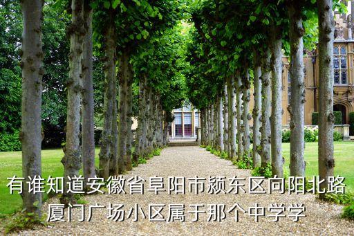 有谁知道安徽省阜阳市颍东区向阳北路厦门广场小区属于那个中学学