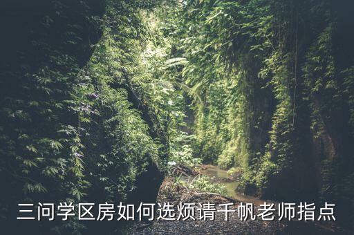 三问学区房如何选烦请千帆老师指点