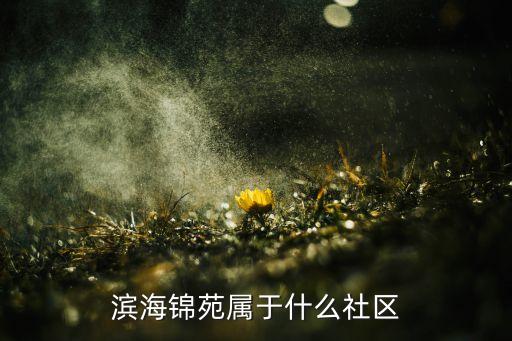滨海锦苑属于什么社区