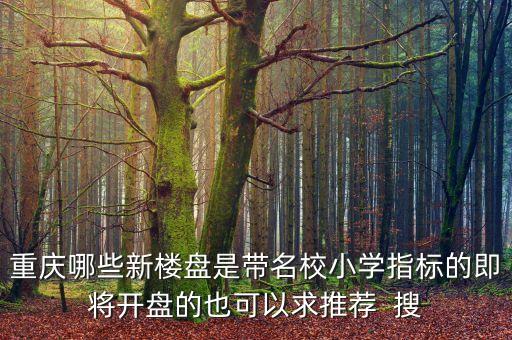 重庆哪些新楼盘是带名校小学指标的即将开盘的也可以求推荐  搜