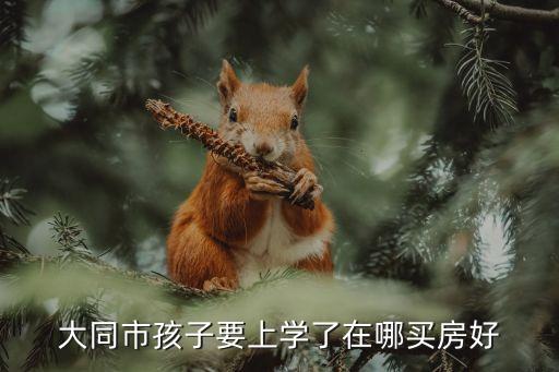 大同市孩子要上学了在哪买房好