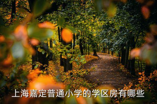 上海嘉定普通小学的学区房有哪些
