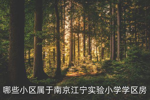 哪些小区属于南京江宁实验小学学区房