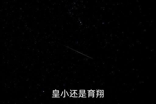 皇小还是育翔
