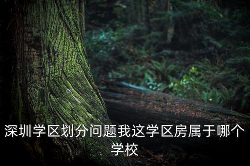 深圳学区划分问题我这学区房属于哪个学校