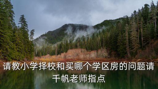 请教小学择校和买哪个学区房的问题请千帆老师指点