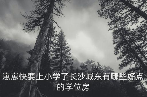 崽崽快要上小学了长沙城东有哪些好点的学位房