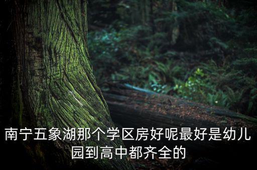 南宁五象湖那个学区房好呢最好是幼儿园到高中都齐全的