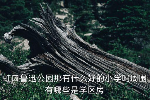 虹口鲁迅公园那有什么好的小学吗周围有哪些是学区房
