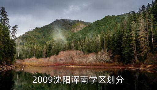 2009沈阳浑南学区划分