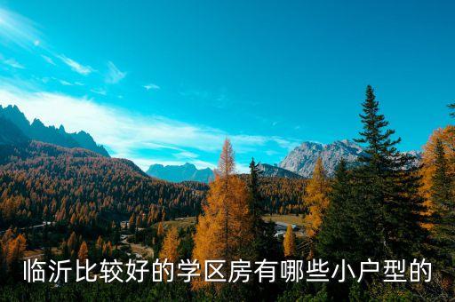 临沂比较好的学区房有哪些小户型的