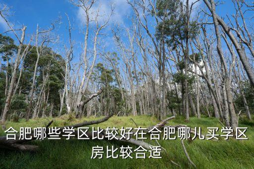 合肥哪些学区比较好在合肥哪儿买学区房比较合适