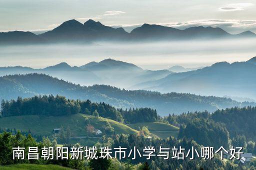 南昌朝阳新城珠市小学与站小哪个好