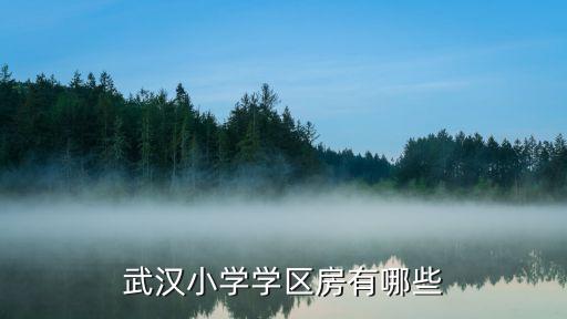 武汉小学学区房有哪些