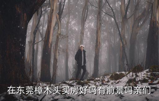 樟木头汇景风华哪个学区房，东莞樟木头有哪些著名的高档小区