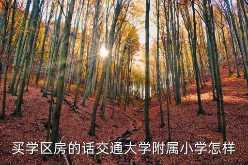北京交大附属哪个学区房，海淀民族小学对口中学有交大附吗