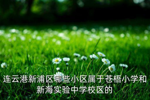 连云港新浦区哪些小区属于苍梧小学和新海实验中学校区的