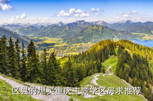 区县的想买重庆主城学区房求推荐