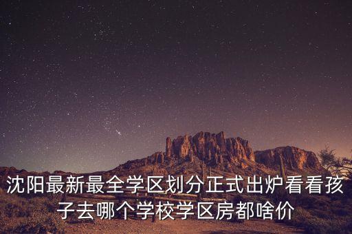 沈阳最新最全学区划分正式出炉看看孩子去哪个学校学区房都啥价