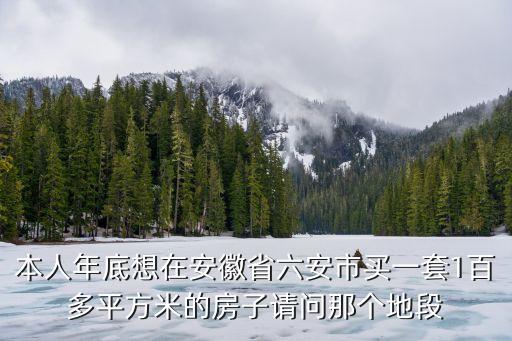 本人年底想在安徽省六安市买一套1百多平方米的房子请问那个地段