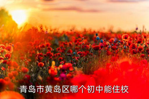 青岛市黄岛区哪个初中能住校