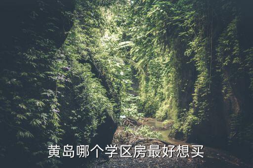 黄岛哪个学区房最好想买