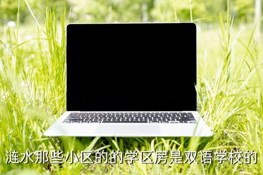 涟水有哪些学区房，涟水那些小区的的学区房是双语学校的