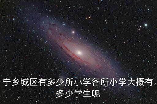 宁乡城区有多少所小学各所小学大概有多少学生呢