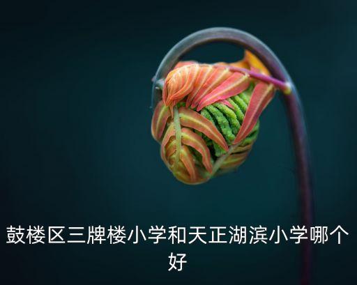 天正湖滨是哪个学区房，请问哪位大虾知道南京的南昌路小学丁家桥小学天正湖滨小学哪所