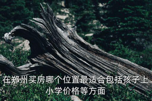 在郑州买房哪个位置最适合包括孩子上小学价格等方面