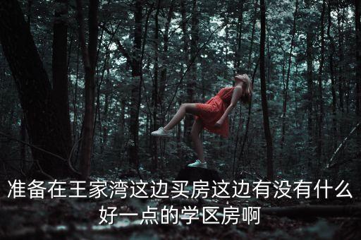 准备在王家湾这边买房这边有没有什么好一点的学区房啊