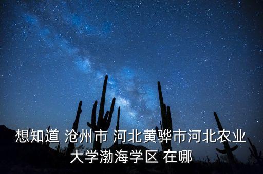 想知道 沧州市 河北黄骅市河北农业大学渤海学区 在哪