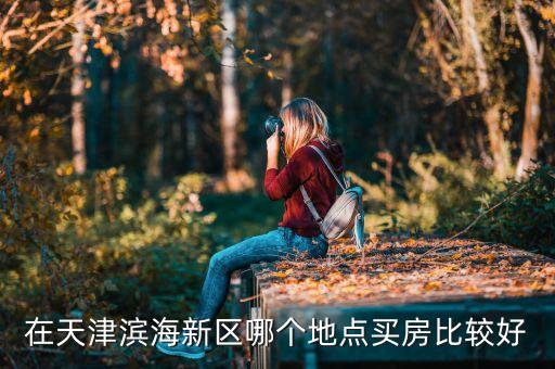 在天津滨海新区哪个地点买房比较好
