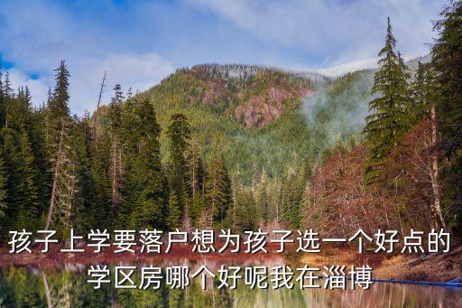 淄博哪个小区学区房好，孩子上学要落户想为孩子选一个好点的学区房哪个好呢我在淄博