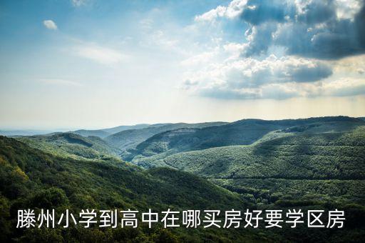 滕州小学到高中在哪买房好要学区房